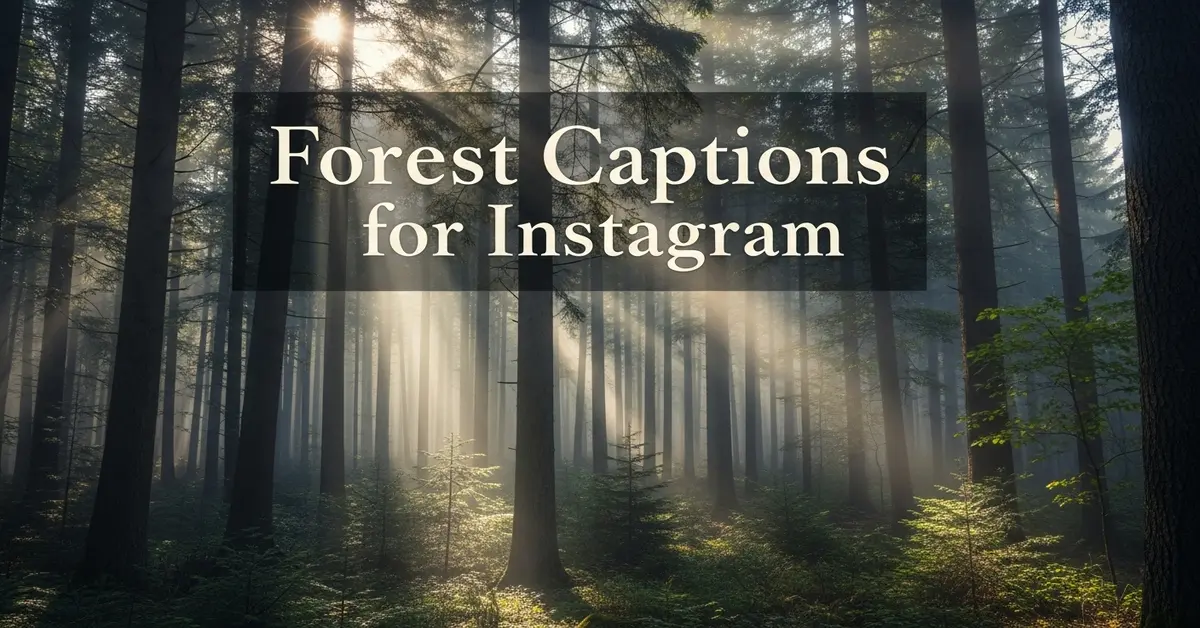 Forest Captions for Instagram